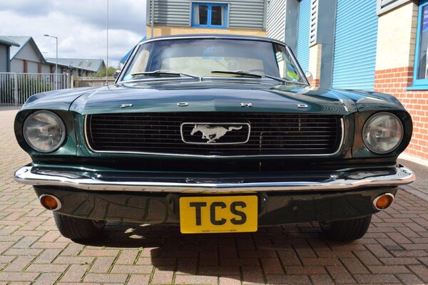 Used Ford Mustang 2023 for sale - 70963299: Photo 100
