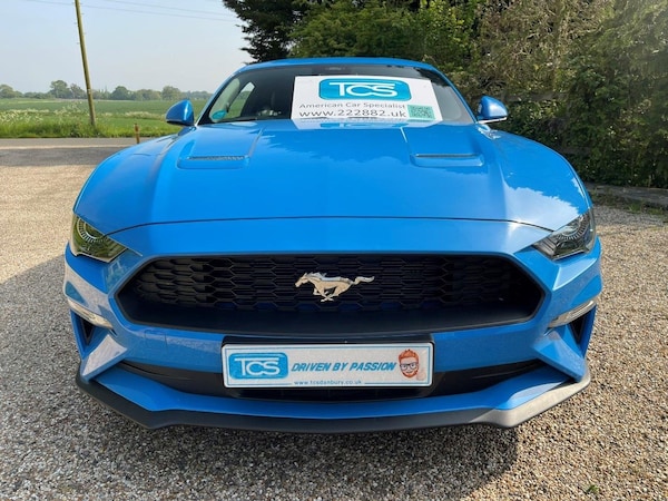 Used Ford Mustang 2023 for sale - 70963299: Photo 1
