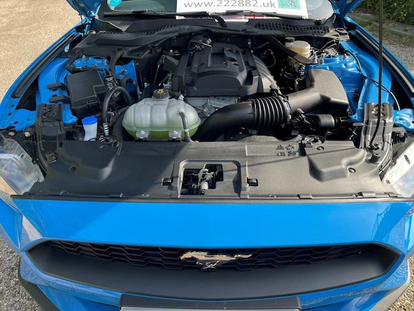 Used Ford Mustang 2023 for sale - 70963299: Photo 5