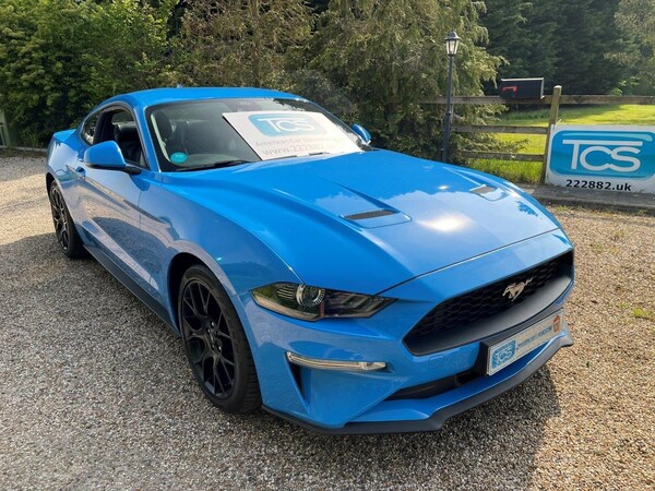 Used Ford Mustang 2023 for sale - 70963299: Photo 6
