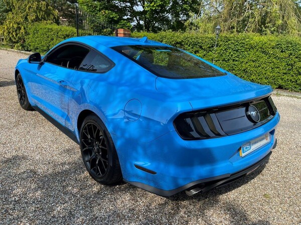 Used Ford Mustang 2023 for sale - 70963299: Photo 7