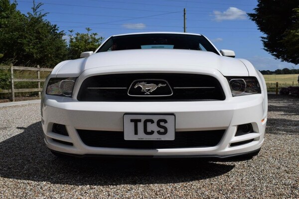 Used Ford Mustang 2023 for sale - 70963299: Photo 86