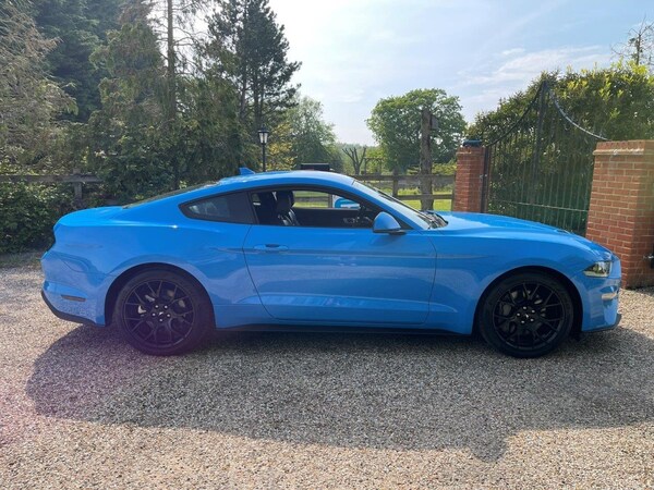 Used Ford Mustang 2023 for sale - 70963299: Photo 8
