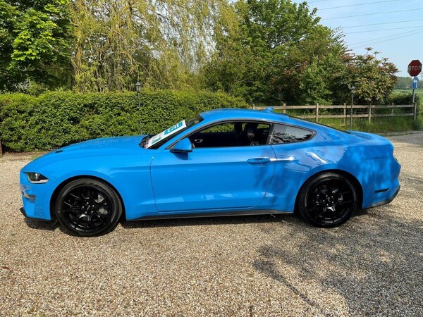 Used Ford Mustang 2023 for sale - 70963299: Photo 9