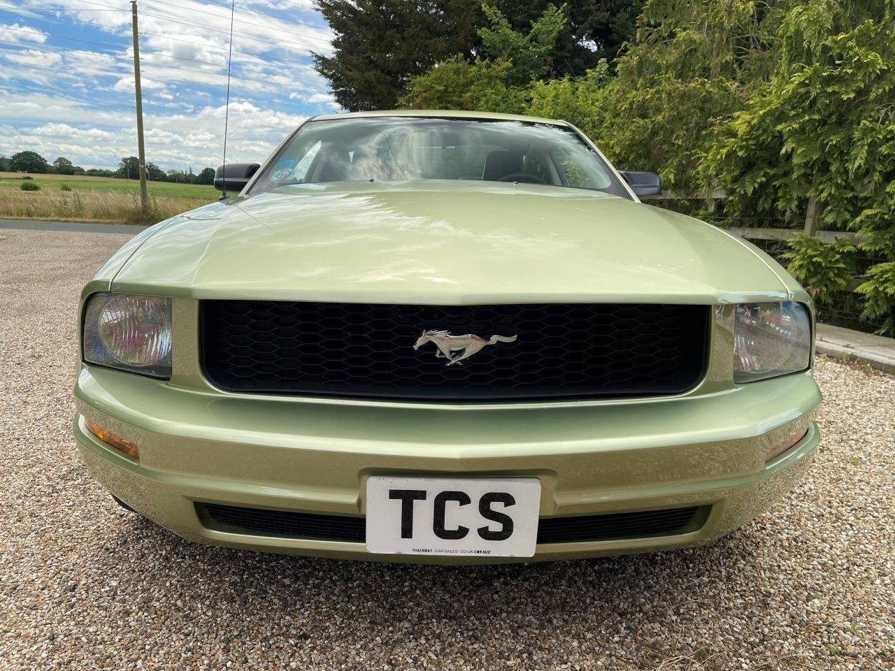 Used Ford Fiesta 2017 for sale - 77708269: Photo 100