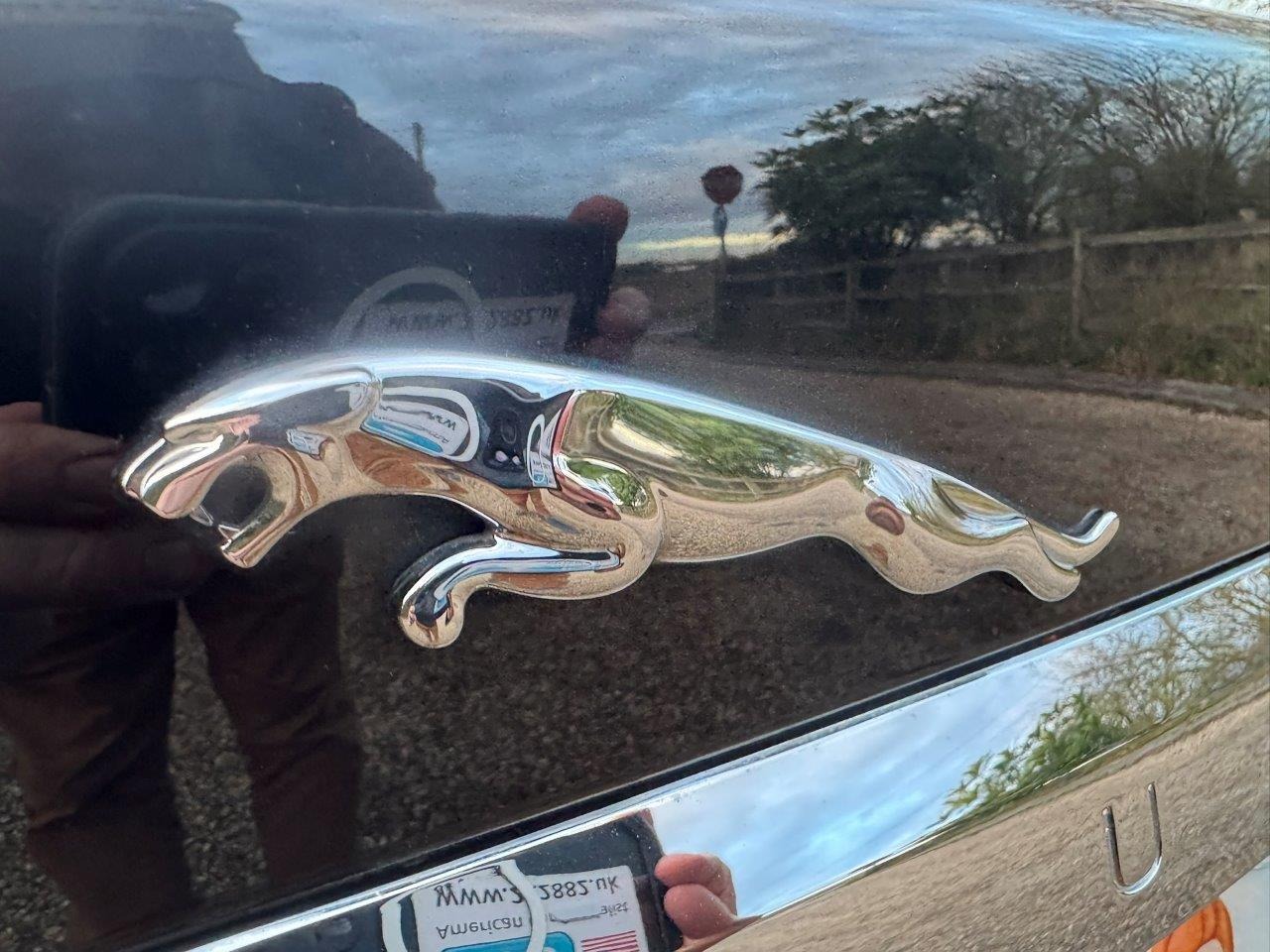 Used Jaguar XF 2010 for sale - 77450611: Photo 79