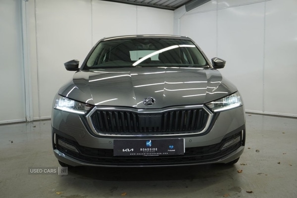 Used Skoda Octavia 2023 for sale - 77941113: Photo 11