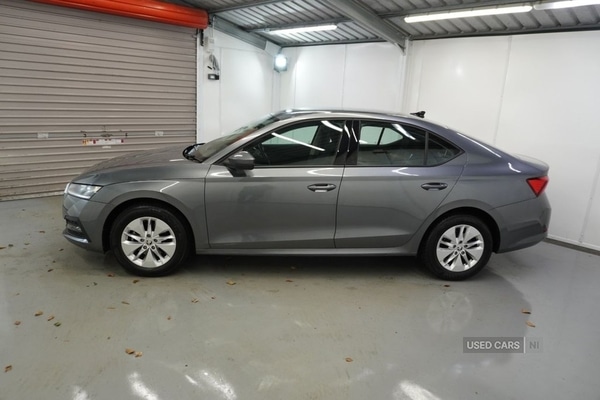 Used Skoda Octavia 2023 for sale - 77941113: Photo 13