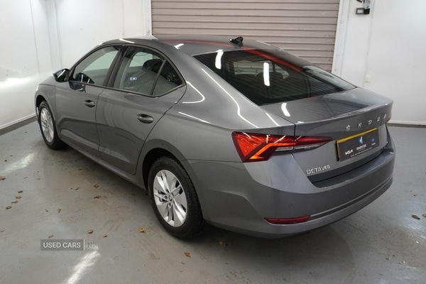 Used Skoda Octavia 2023 for sale - 77941113: Photo 18