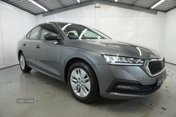 Used Skoda Octavia 2023 for sale - 77941113: Photo 8