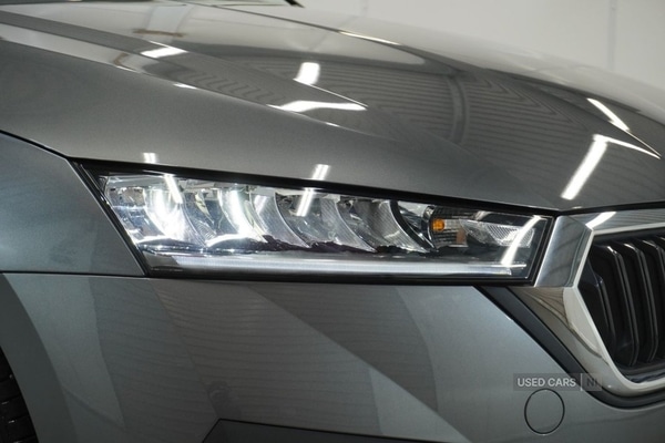 Used Skoda Octavia 2023 for sale - 77941113: Photo 9