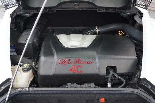 Used Alfa Romeo 4C 2016 for sale - 76500410: Photo 21