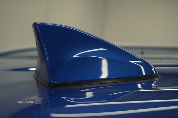 Used Kia Sportage 2019 for sale - 77017281: Photo 6