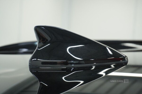 Used Kia Sportage 2025 for sale - 77145091: Photo 6