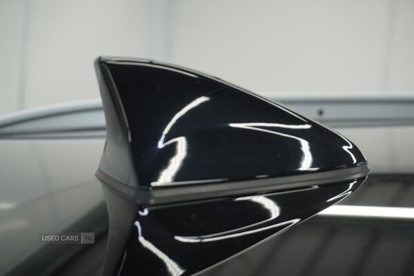 Used Kia Sportage 2019 for sale - 77672309: Photo 6