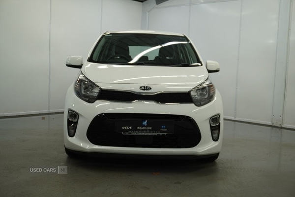 Used Kia Picanto 2019 for sale - 78020775: Photo 11