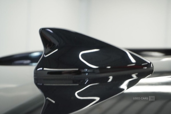 Used Kia Sportage 2025 for sale - 77941049: Photo 6