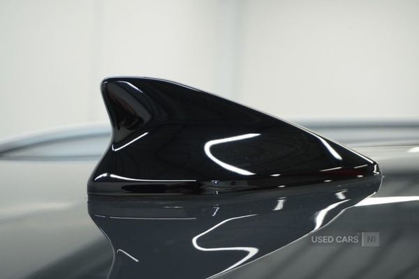 Used Kia Sportage 2025 for sale - 77560191: Photo 6