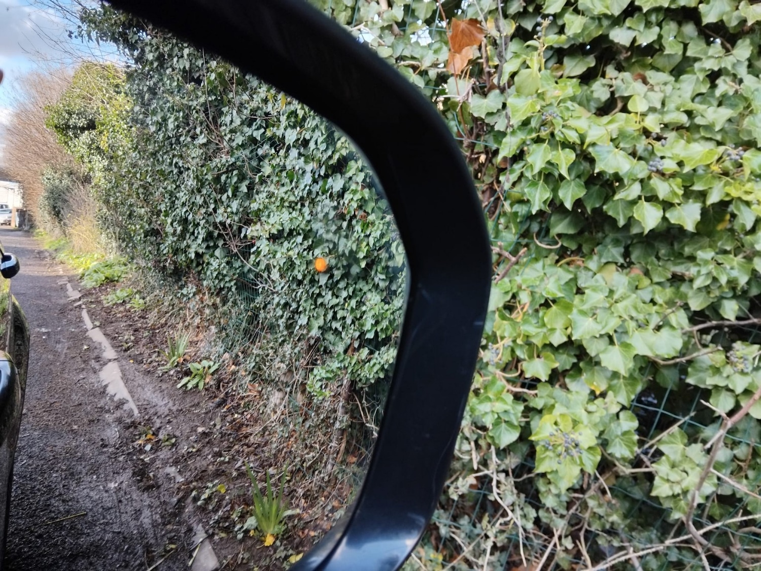 Used Land Rover Range Rover Evoque 2013 for sale - 77891666: Photo 18