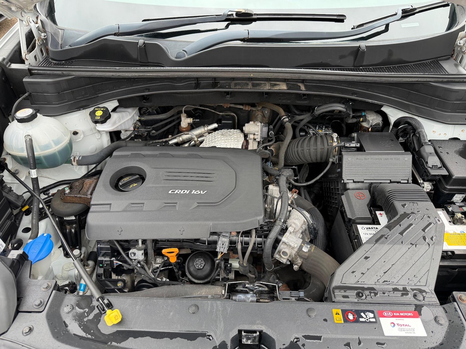 Used Kia Sportage 2018 for sale - 76989546: Photo 37