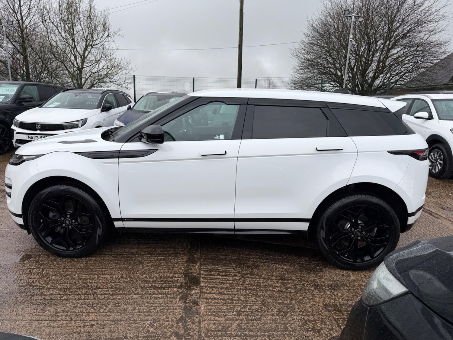 Used Land Rover Range Rover Evoque for sale - 78127866: Photo 7