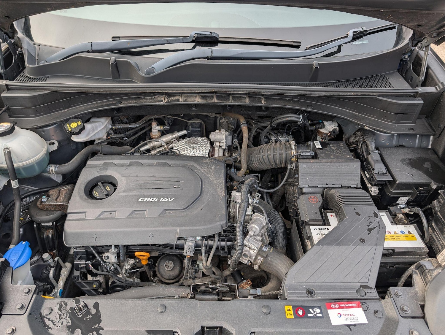 Used Kia Sportage 2017 for sale - 76584068: Photo 41