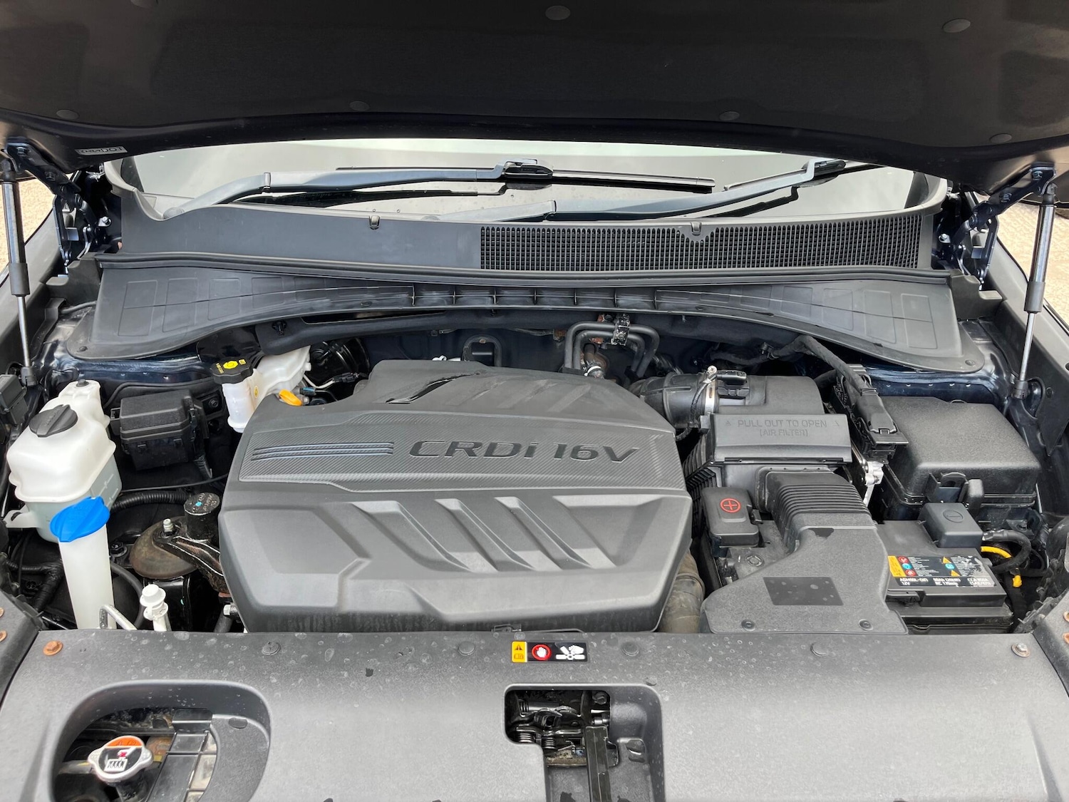 Vehicle 44