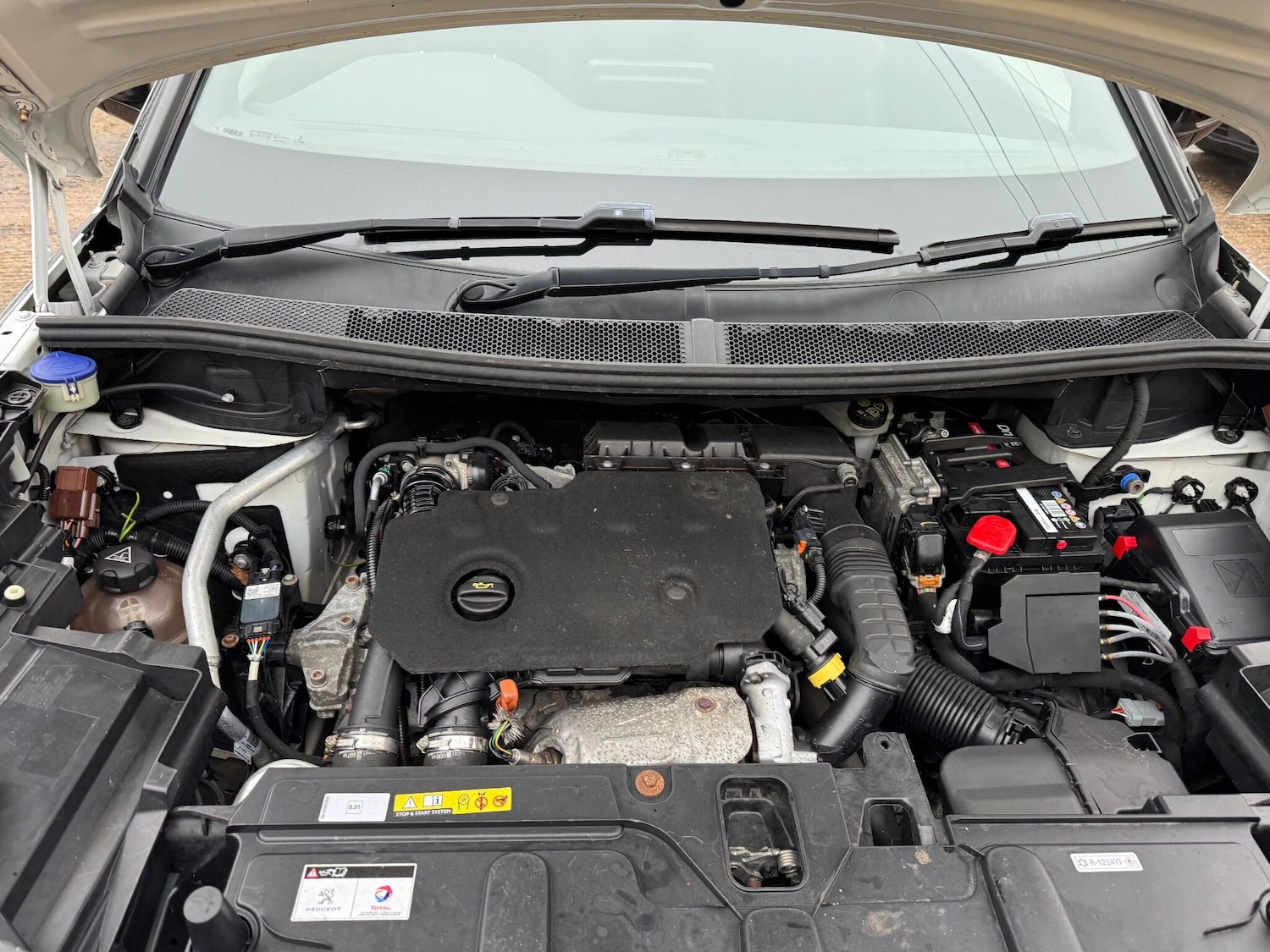 Used Peugeot 5008 2019 for sale - 77214979: Photo 25