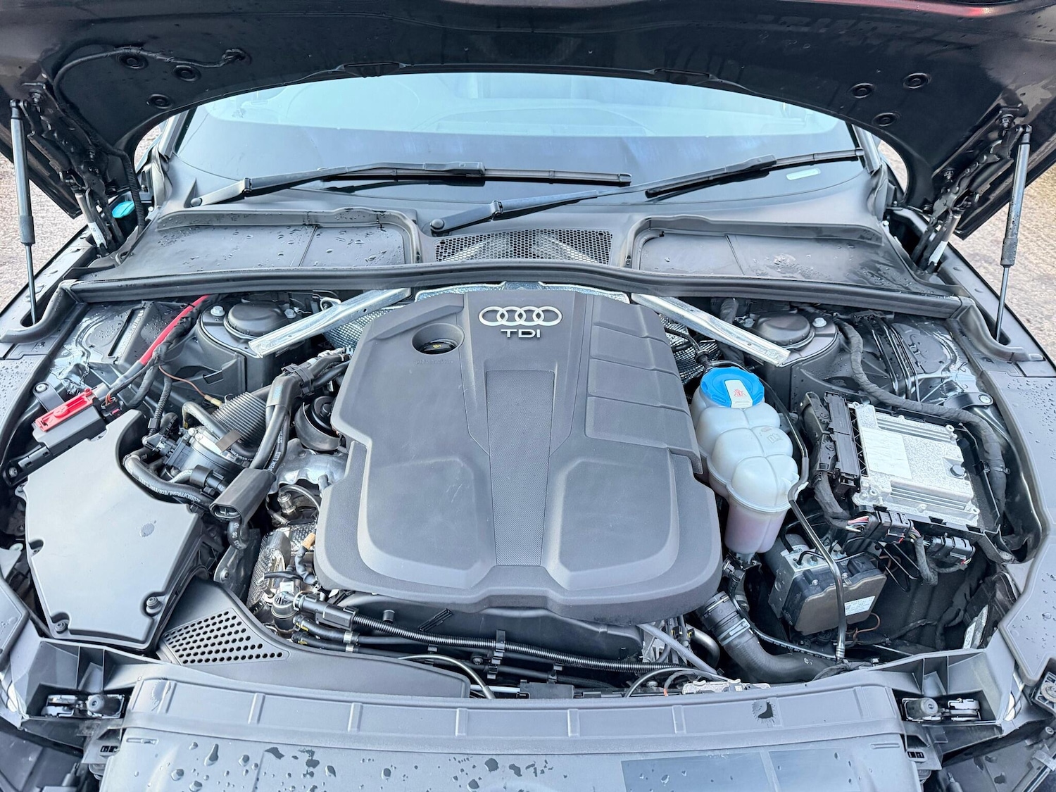 Used Audi A5 2017 for sale - 76781154: Photo 53