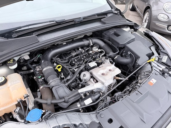 Used Ford Focus 2015 for sale - 76249349: Photo 18