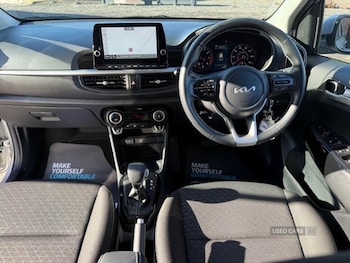 Used Kia Picanto 2023 for sale - 76338083: Photo