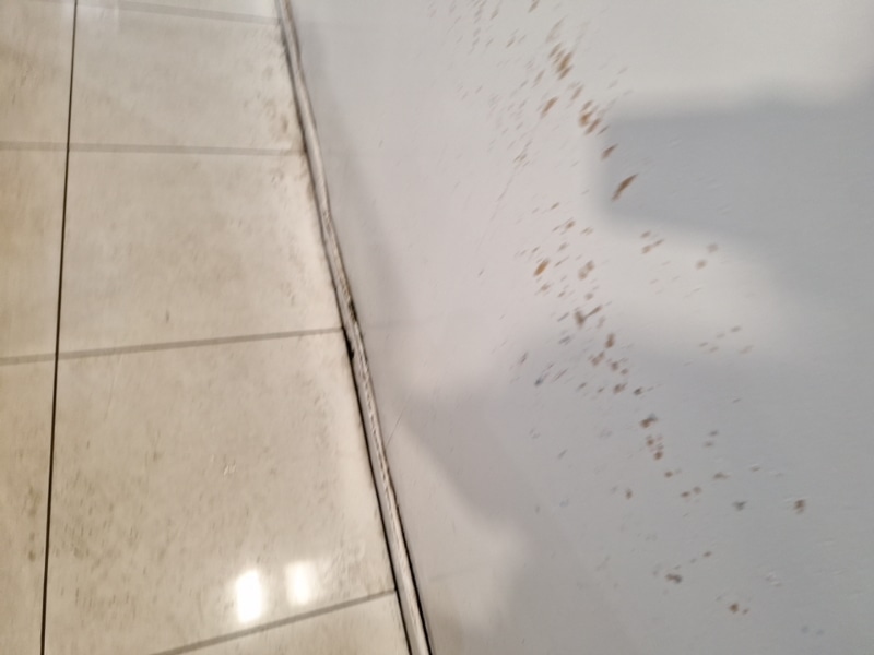 Used Vauxhall Corsa 2020 for sale - 77031908: Photo 13