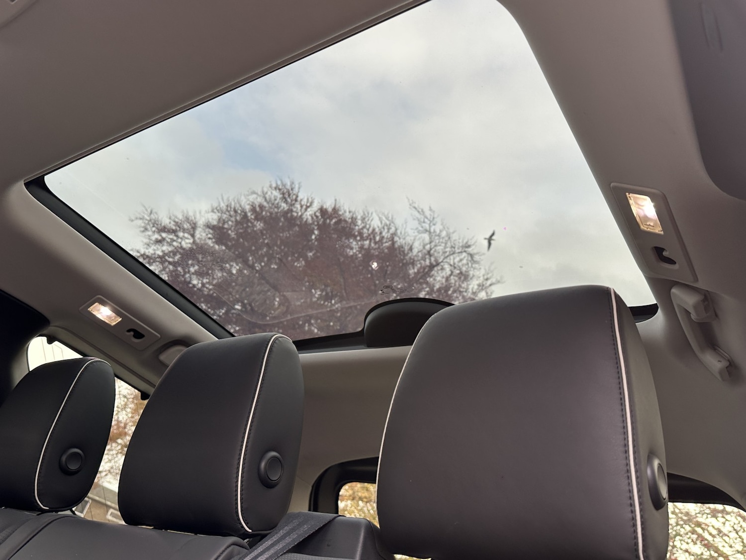 Used Land Rover Discovery 2017 for sale - 76547868: Photo 34