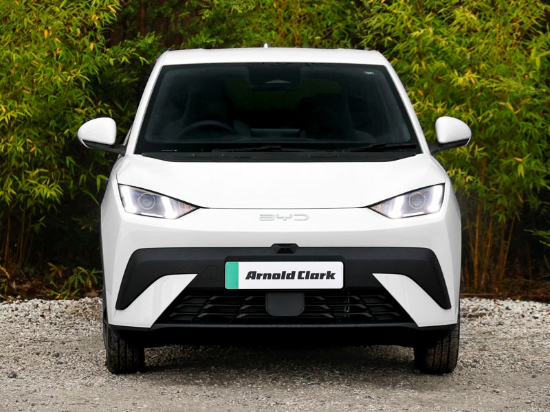 Used BYD Dolphin 2026 for sale - 77956874: Photo 15