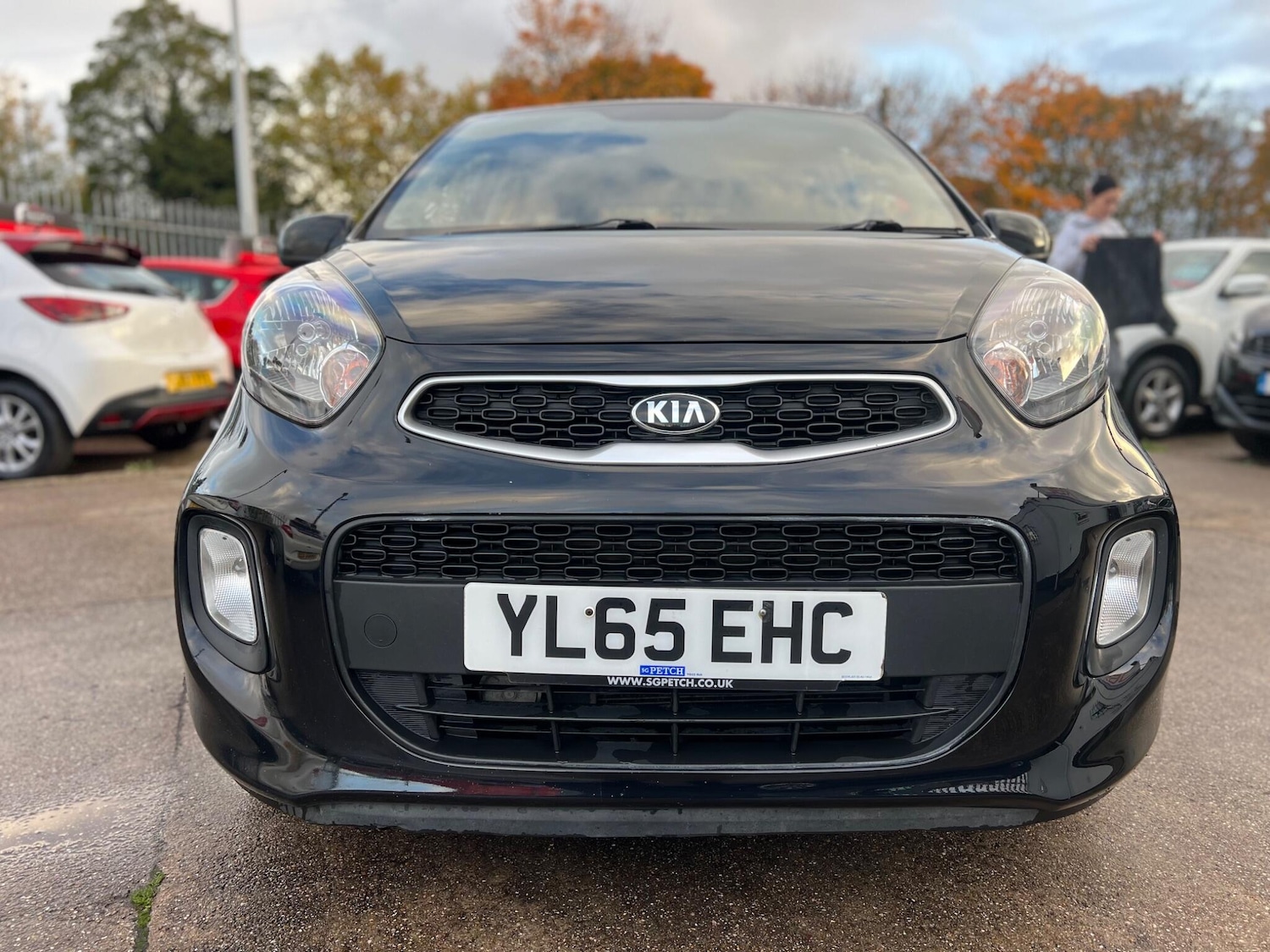 Used Kia Picanto 2016 for sale - 76326690: Photo 3