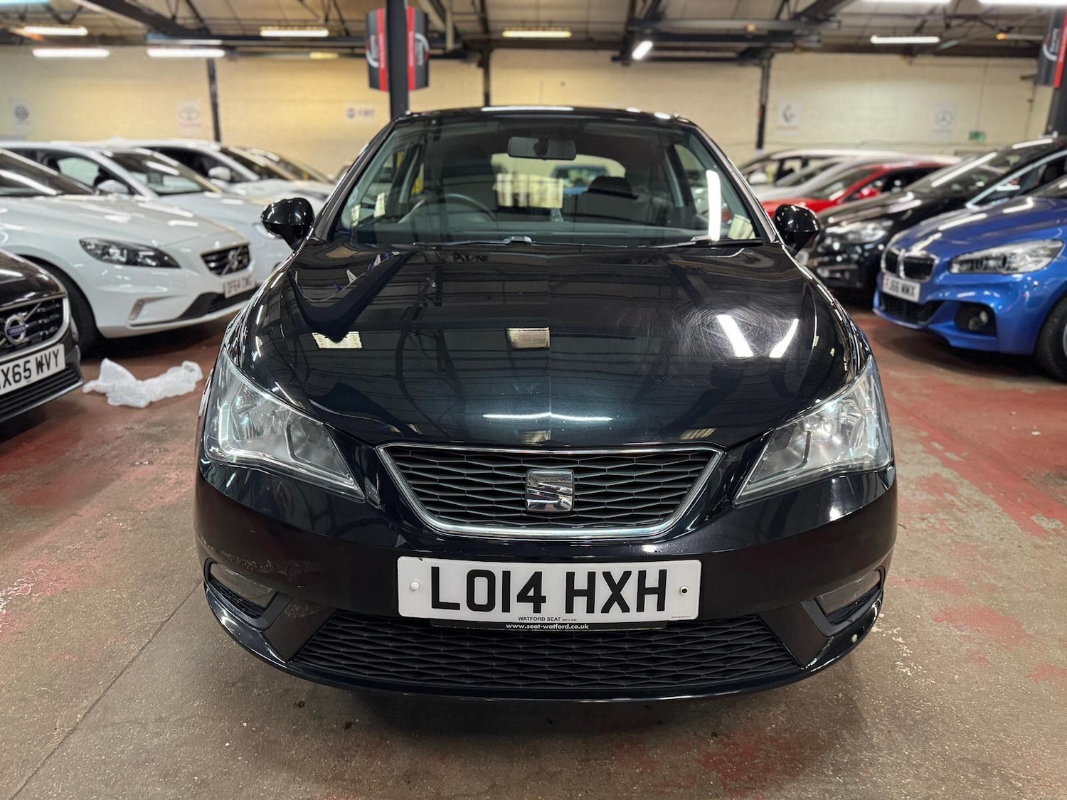 Used SEAT Ibiza for sale - 77793801: Photo 3