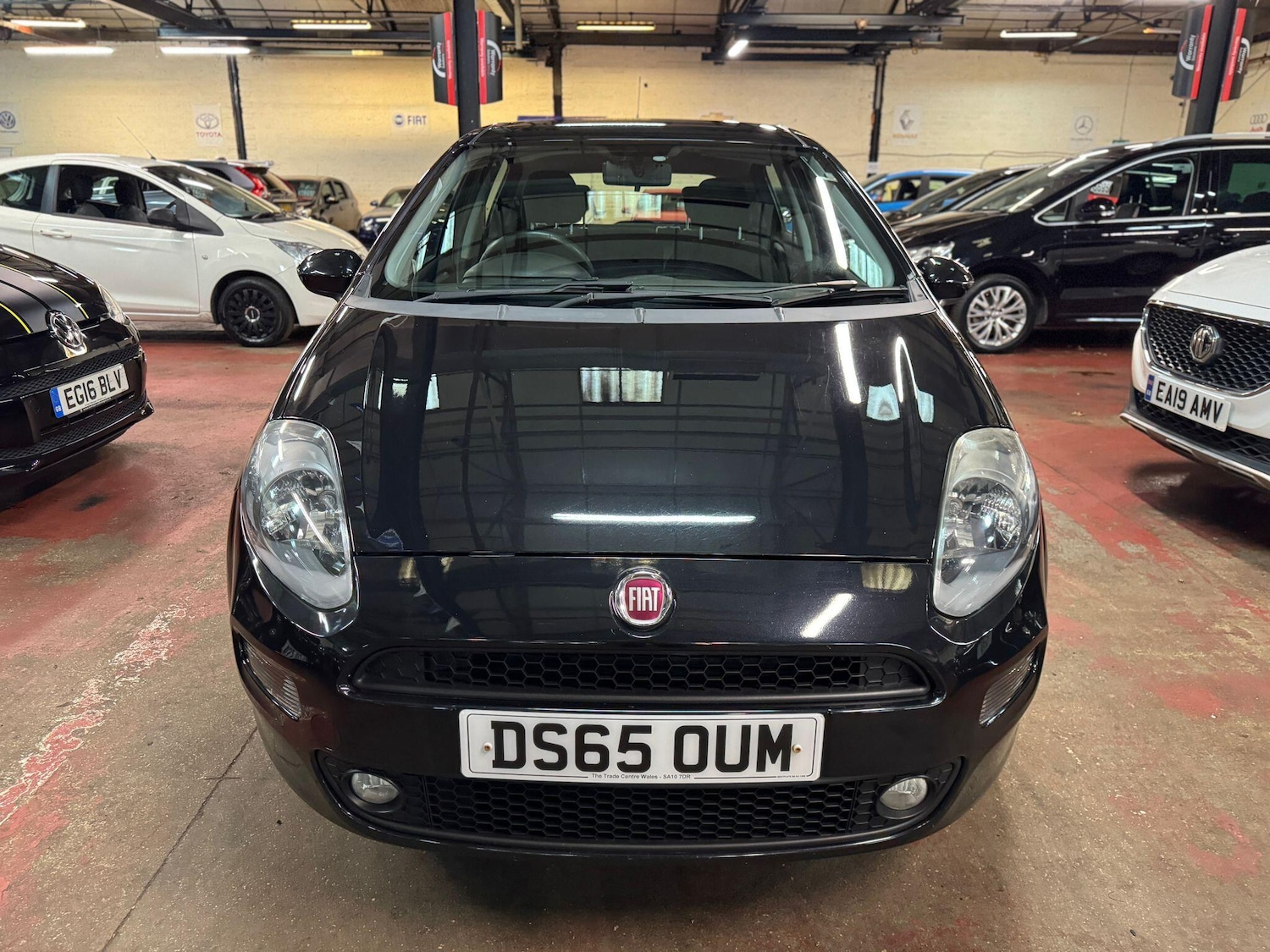 Used Fiat Punto 2015 for sale - 77315458: Photo 2