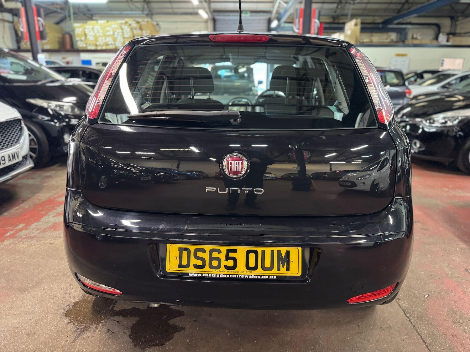 Used Fiat Punto 2015 for sale - 77315458: Photo 5