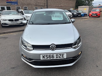 Used Volkswagen Polo 2016 for sale - 79051213: Photo