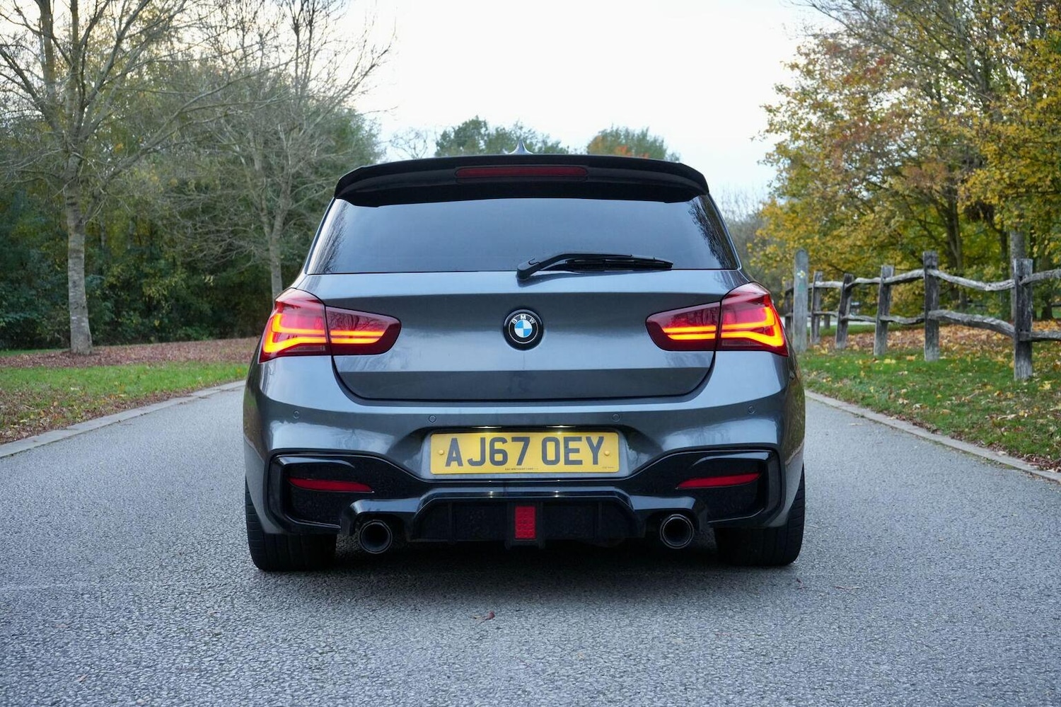 Used BMW 1 Series 2017 for sale - 77148243: Photo 8