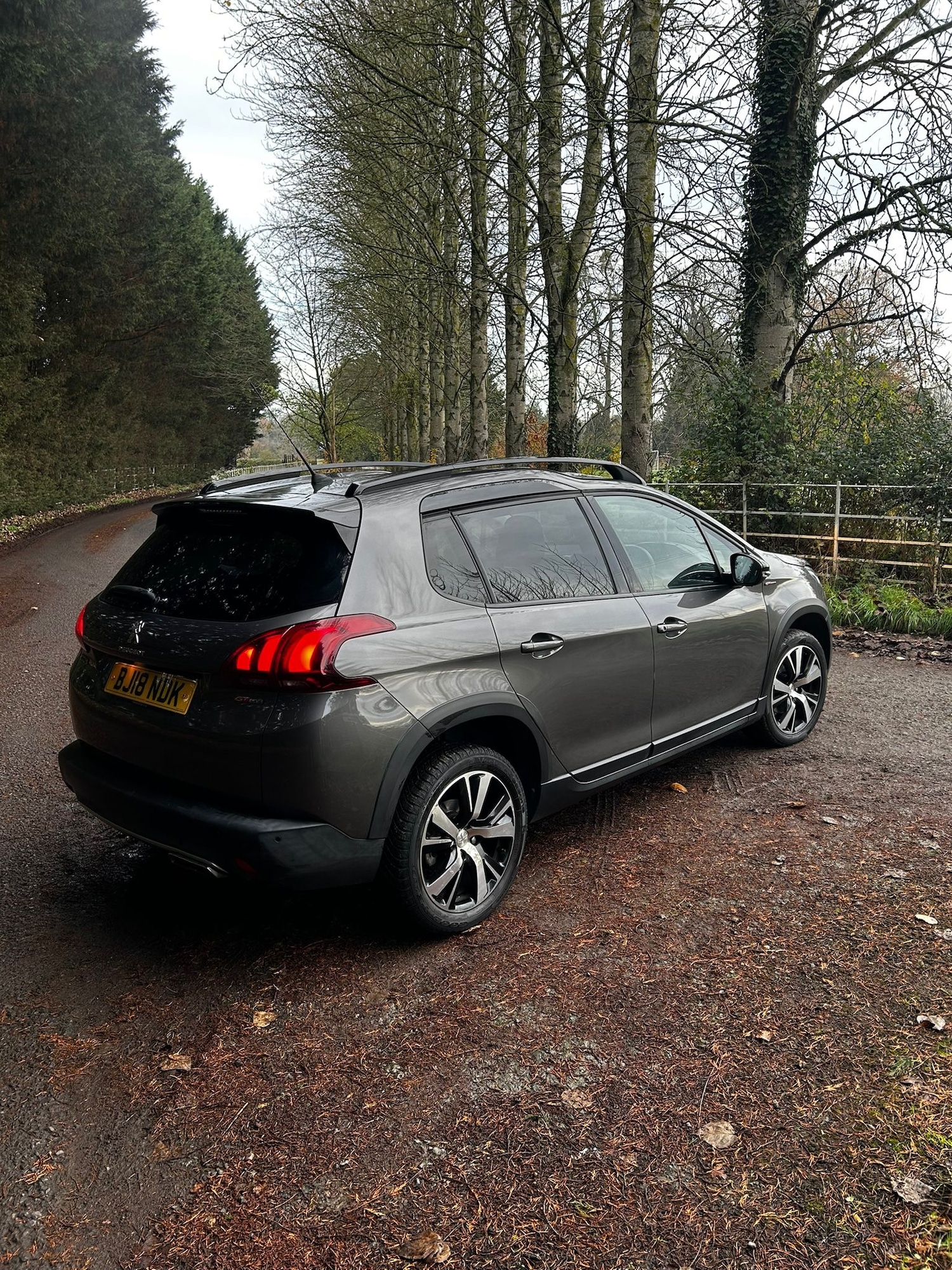 Used Peugeot 2008 2018 for sale - 76830576: Photo 2