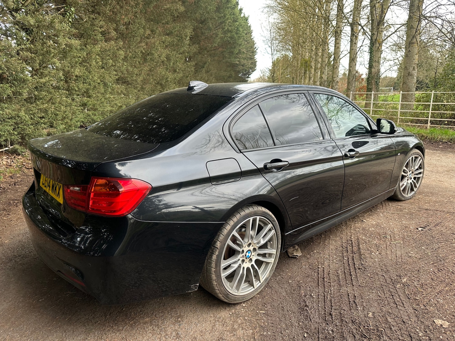 Used BMW 3 Series 2014 for sale - 77665313: Photo 4