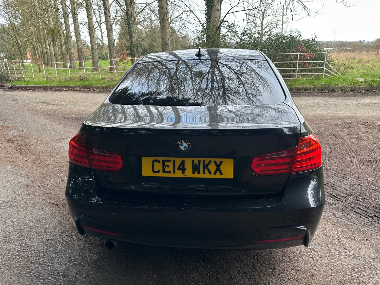 Used BMW 3 Series 2014 for sale - 77665313: Photo 5