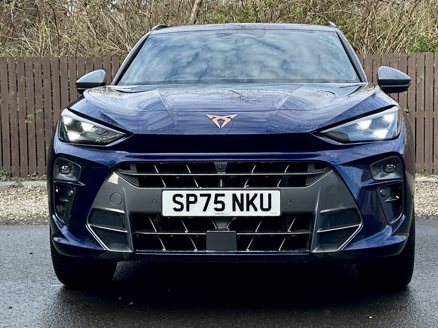 Used Cupra Terramar 2025 for sale - 77641307: Photo 2