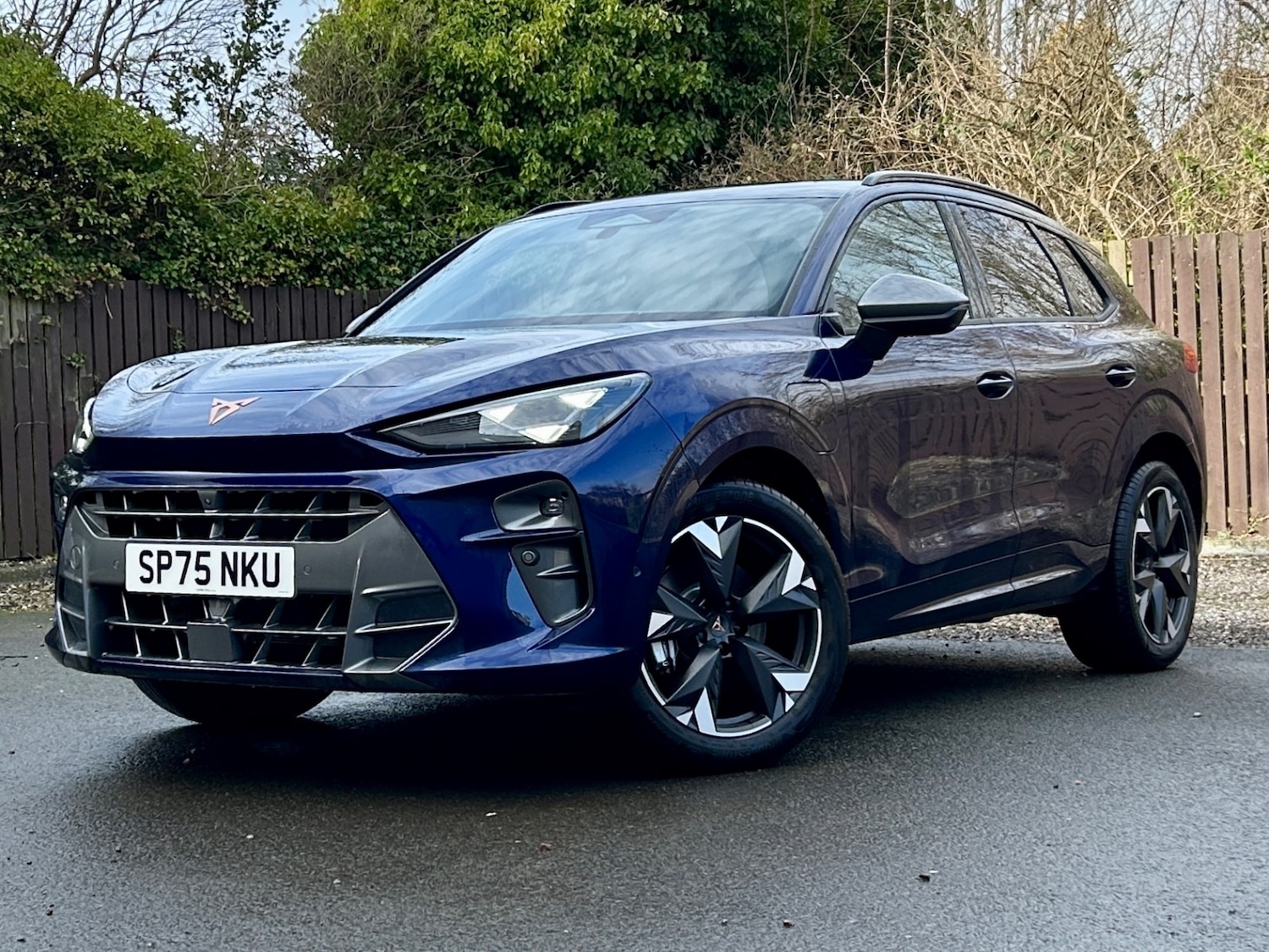 Used Cupra Terramar 2025 for sale - 77641307: Photo 3