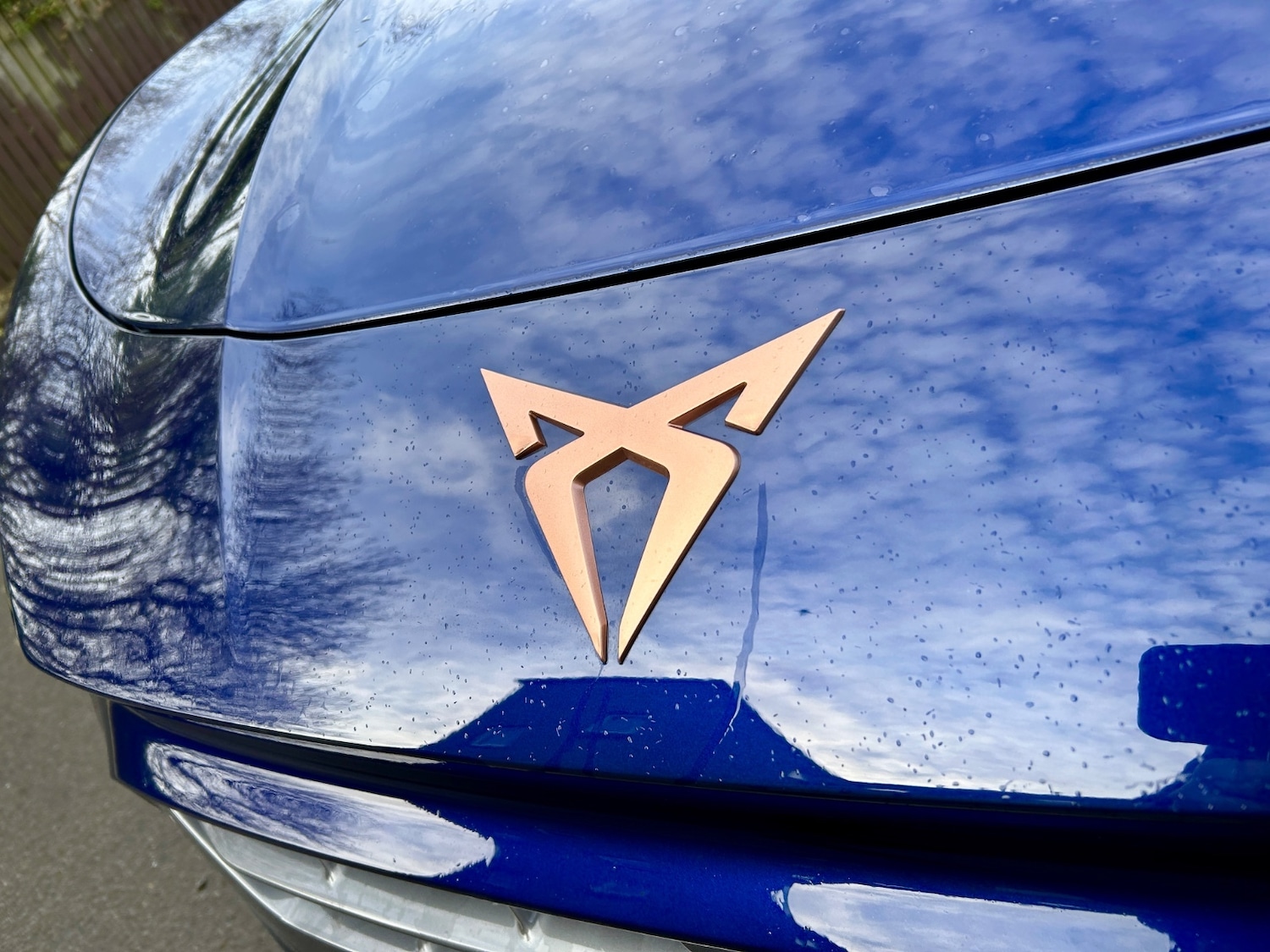 Used Cupra Terramar 2025 for sale - 77641307: Photo 6