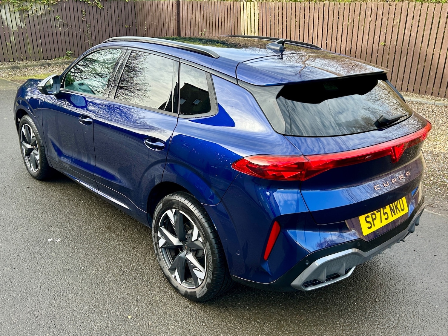 Used Cupra Terramar 2025 for sale - 77641307: Photo 8