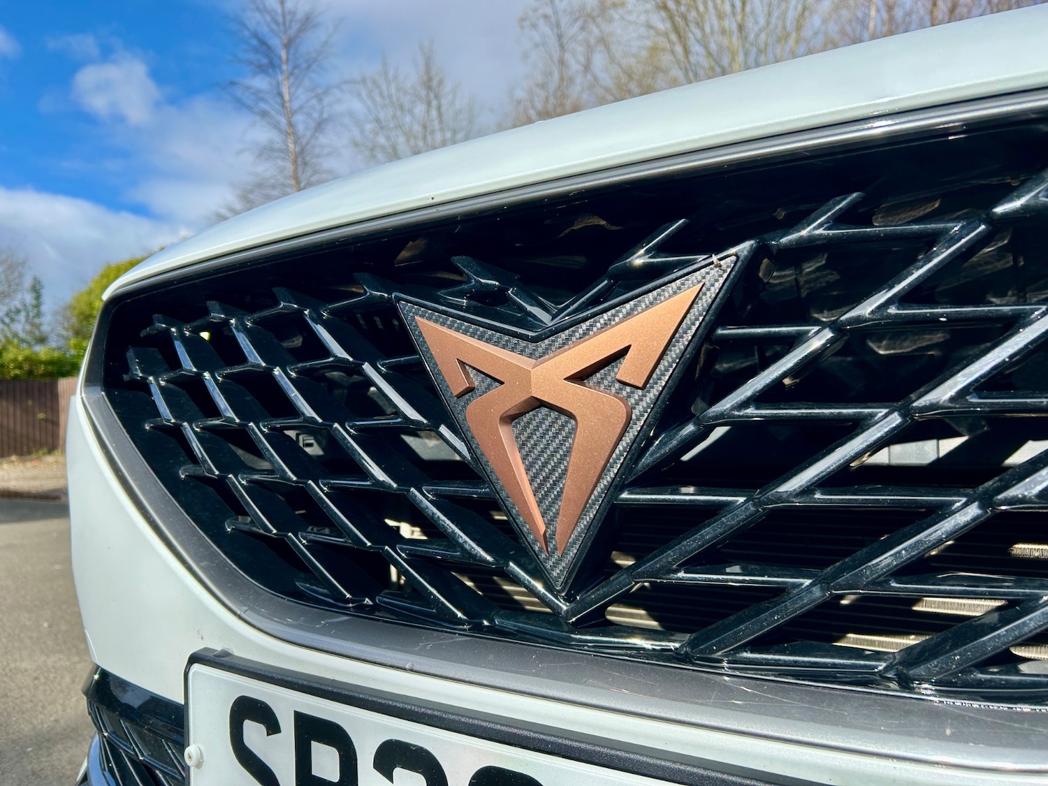 Used Cupra Formentor 2023 for sale - 78179529: Photo 6