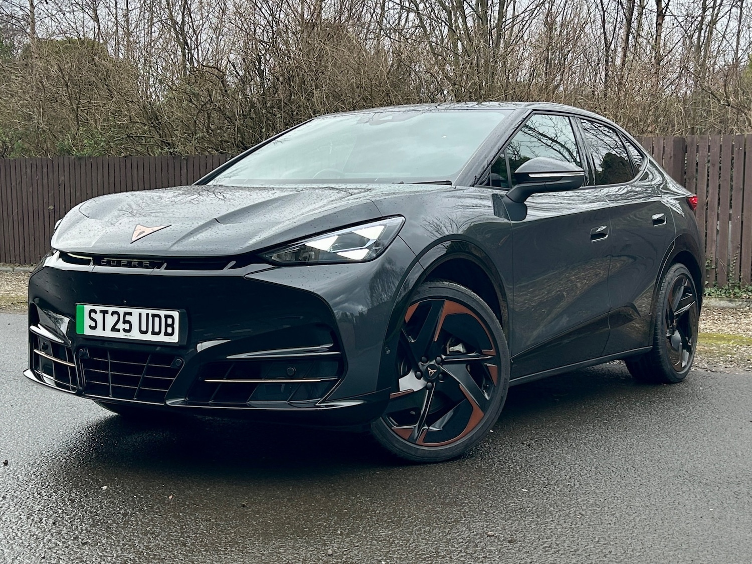 Used Cupra Tavascan 2025 for sale - 77679390: Photo 3