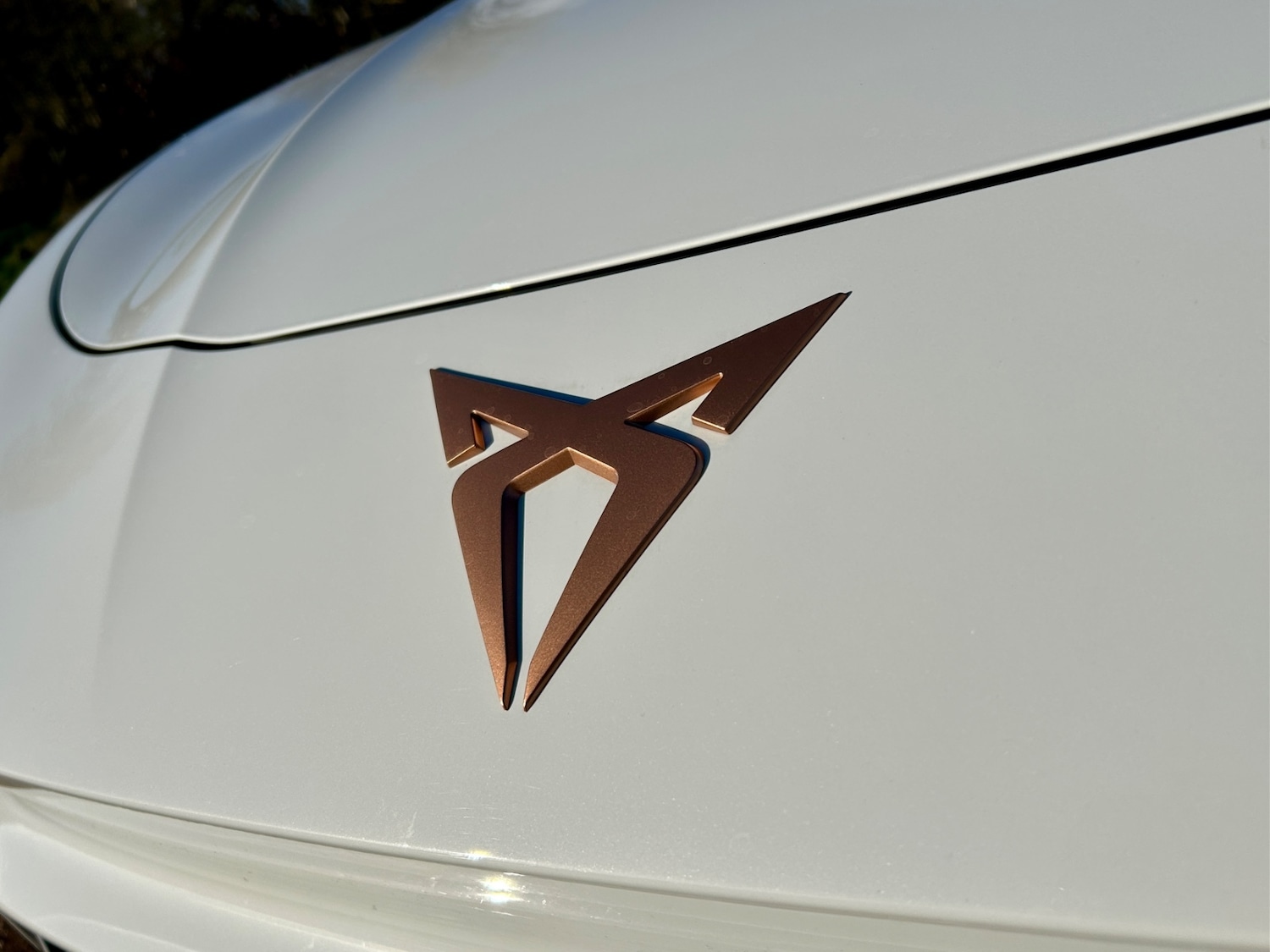 Used Cupra Terramar 2025 for sale - 76692456: Photo 6